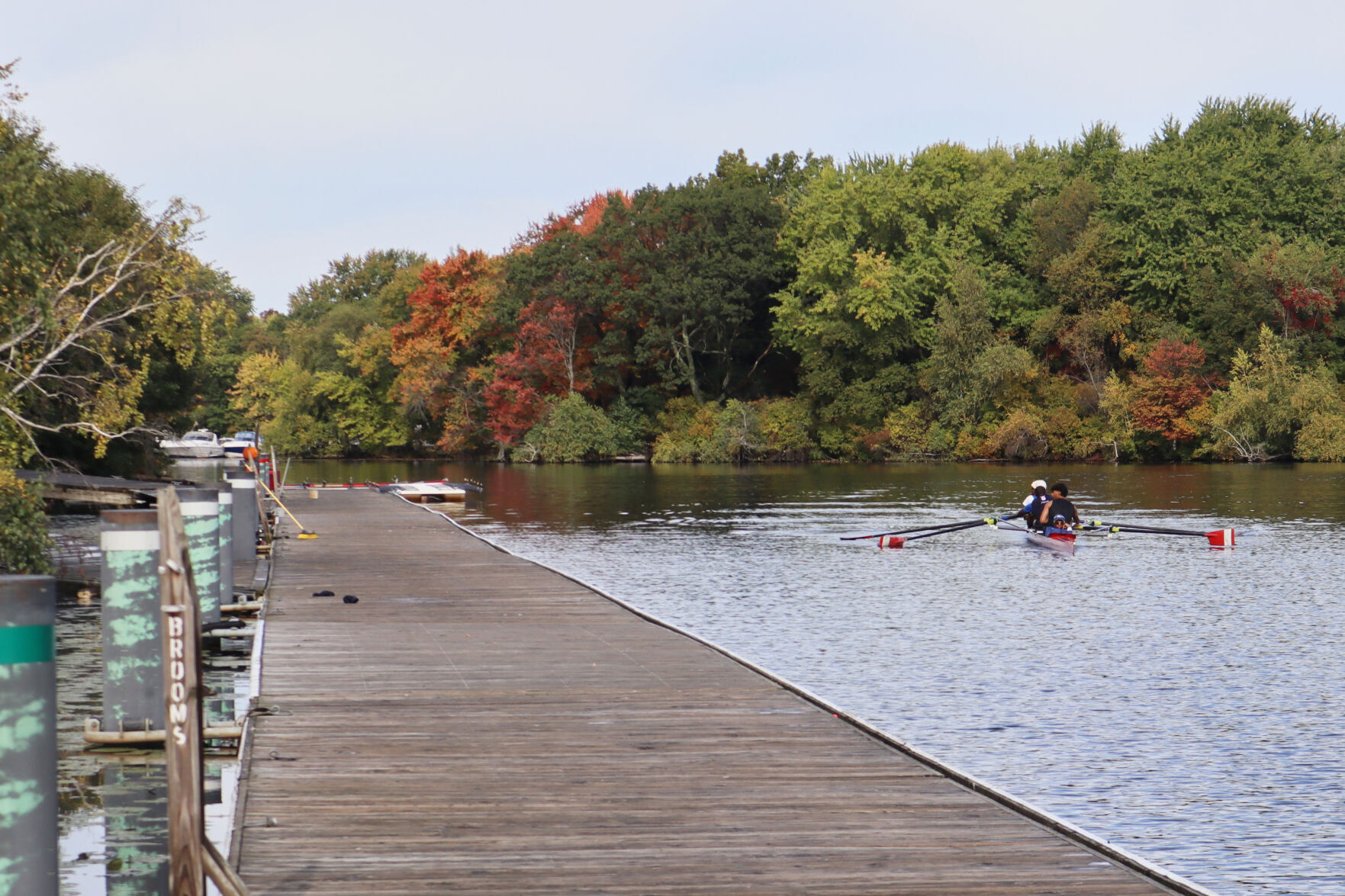 Rowing Representation